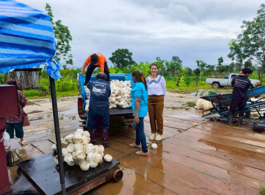 ติดตามการดำเนินธุรกิจรวบรวมผลผลิต (ยางพาราก้อนถ้วย) ... พารามิเตอร์รูปภาพ 6